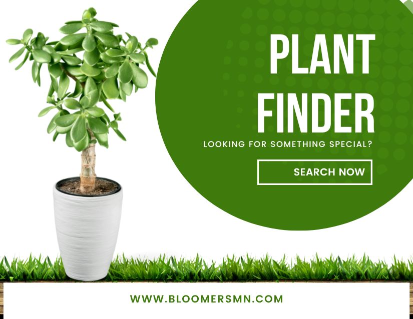 Bloomers Plant Finder