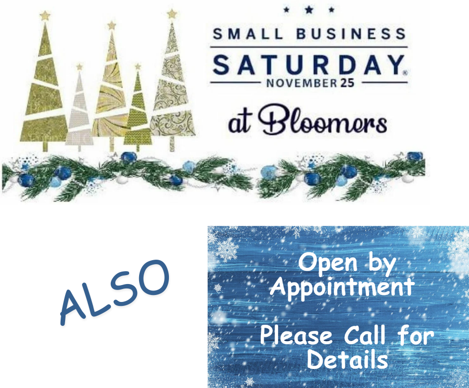 Winter Hours, Small Business Saturday, SBS, Craft Sale
