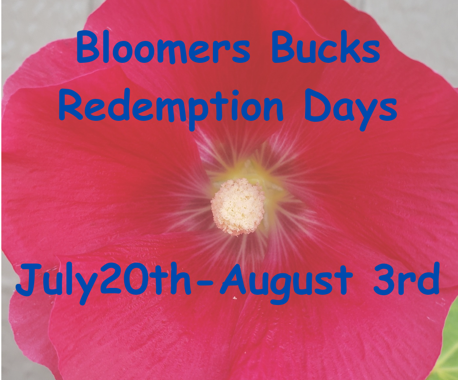 Bloomers Bucks, Sale, Greenhouse sale, Nursery Sale