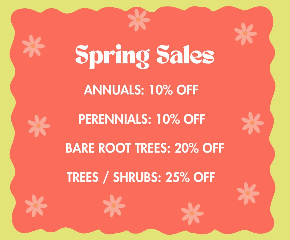 Fruit trees, bareroot, bare root, Garden Center, Sale, Beier's Greenhouse